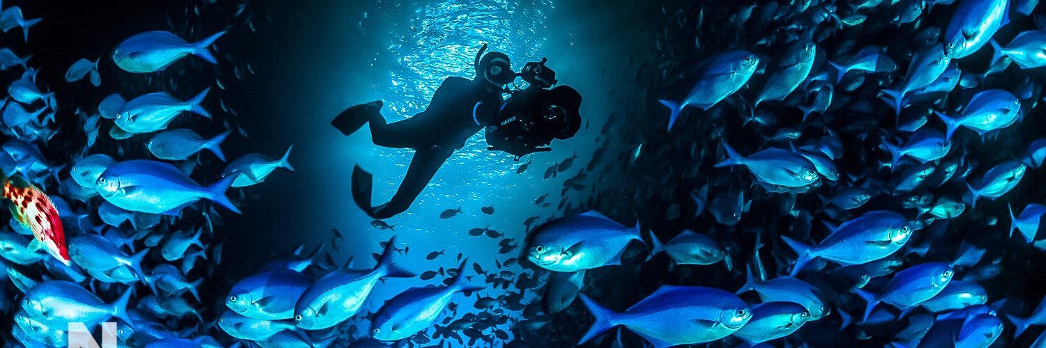 Robert Marc Lehmann banner