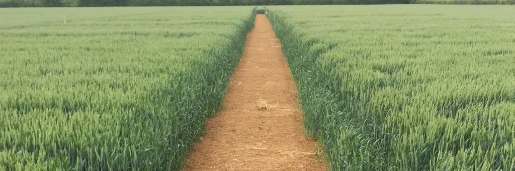 oliver_agronomy's profile banner image
