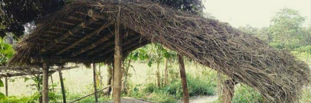 Nitanshk98's profile banner image