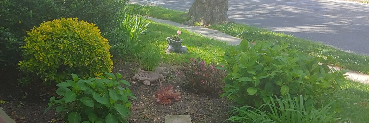 Sam925's profile banner image