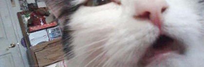 dungdgi's profile banner image