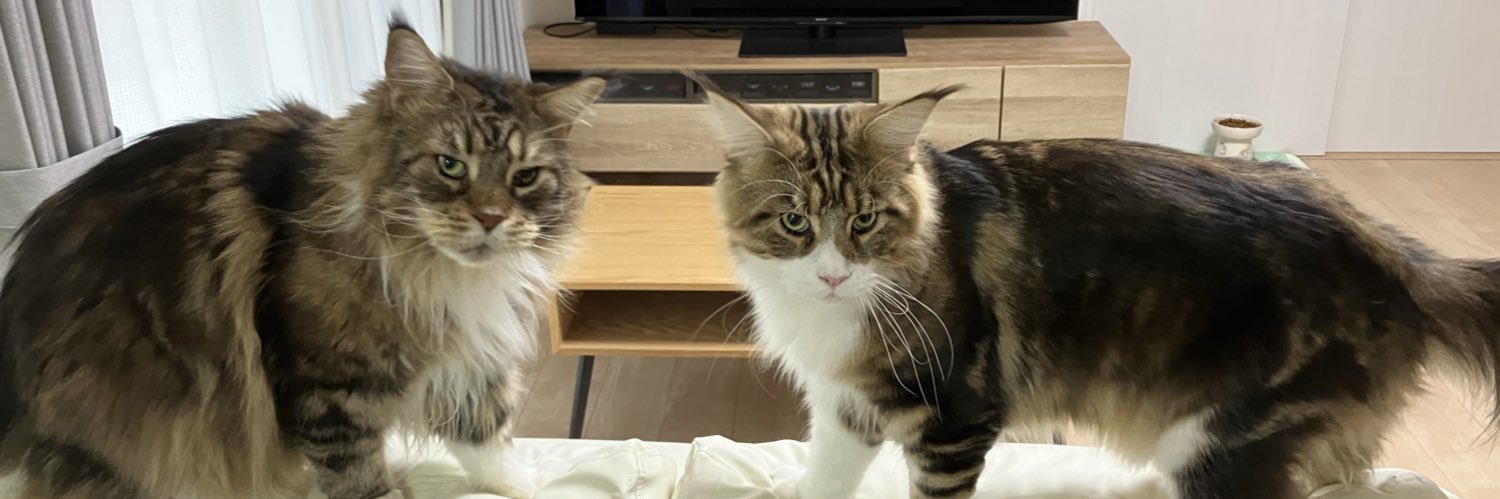 ベロが小学生 banner