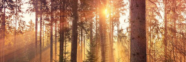 KerimHalil Profile Banner