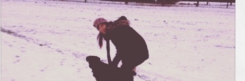 Sam McPartland 💙🌈🐶🐾⚽️☘️ banner