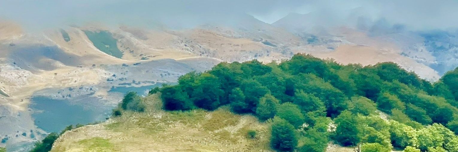 josu_in's profile banner image