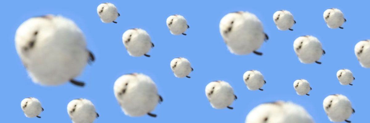 麗【うるは】 banner