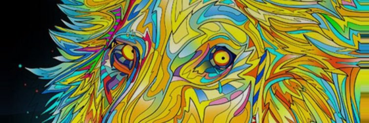 MickyVidal's profile banner image