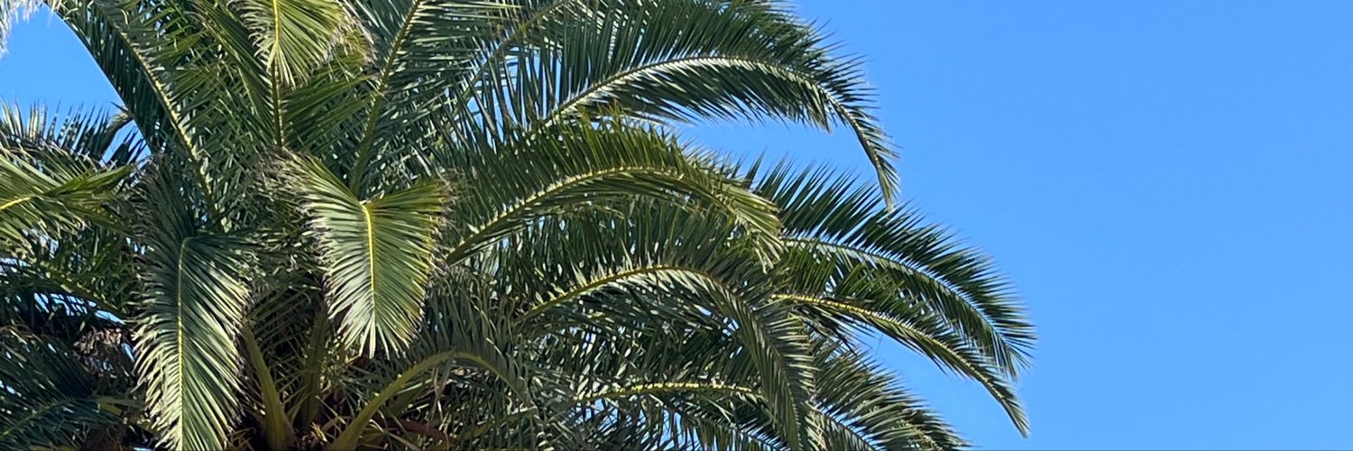 davutintas's profile banner image