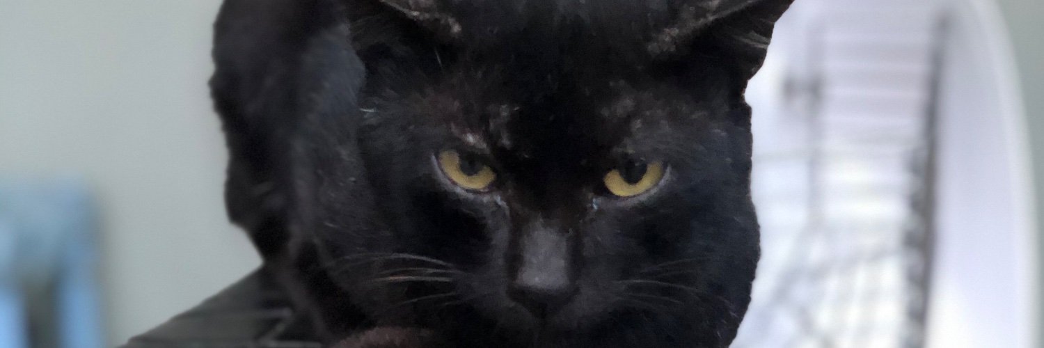 ekobs17's profile banner image