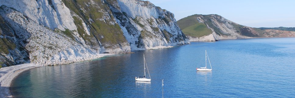 DELICIOUS fromDorset banner