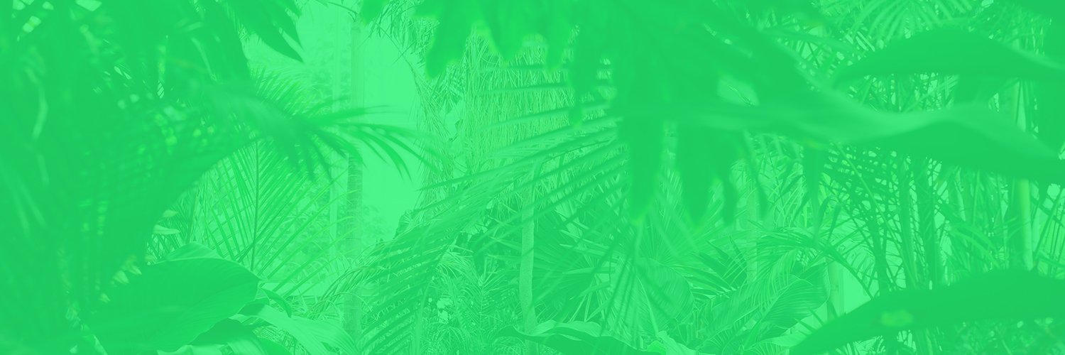 PlanèteVerteStudio banner
