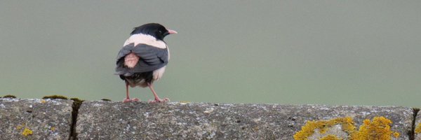 PeterCox48 Profile Banner