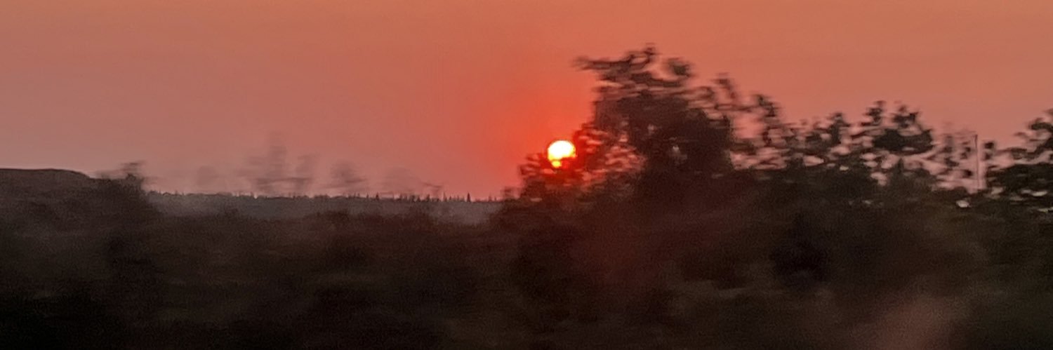 mnevversss4's profile banner image