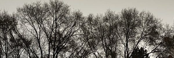 luigyneutron Profile Banner