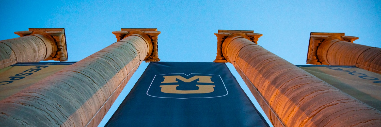 Mizzou Research's banner