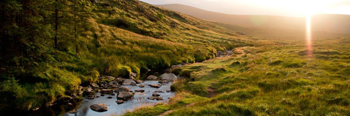 Eric Berg - MVP banner