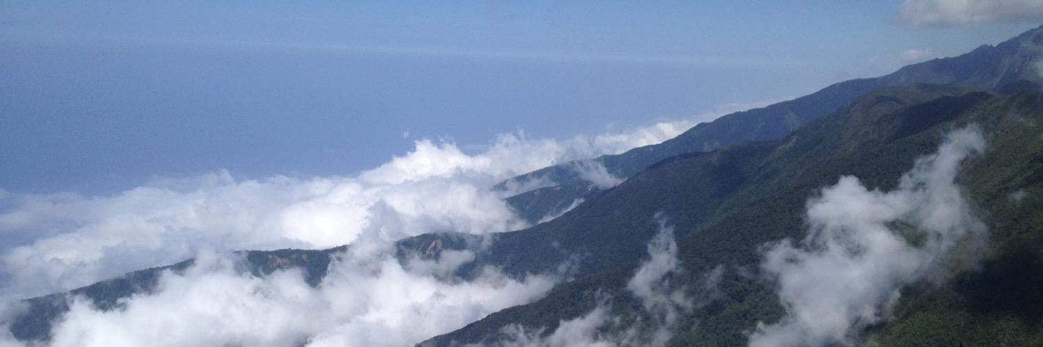 ShuyinZ13's profile banner image