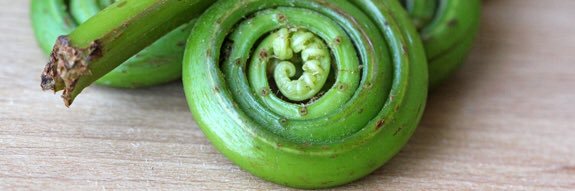 Chef Lauren Cummings banner