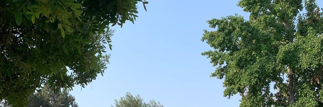 Bonnie GhoshDastidar banner