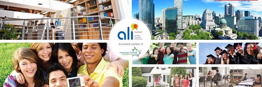 studymontreal's profile banner image