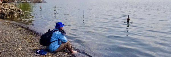 DrAaronNew Profile Banner