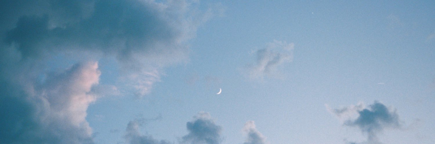 bernardott2's profile banner image