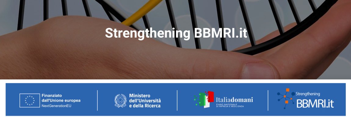 Massimiliano Borsani banner