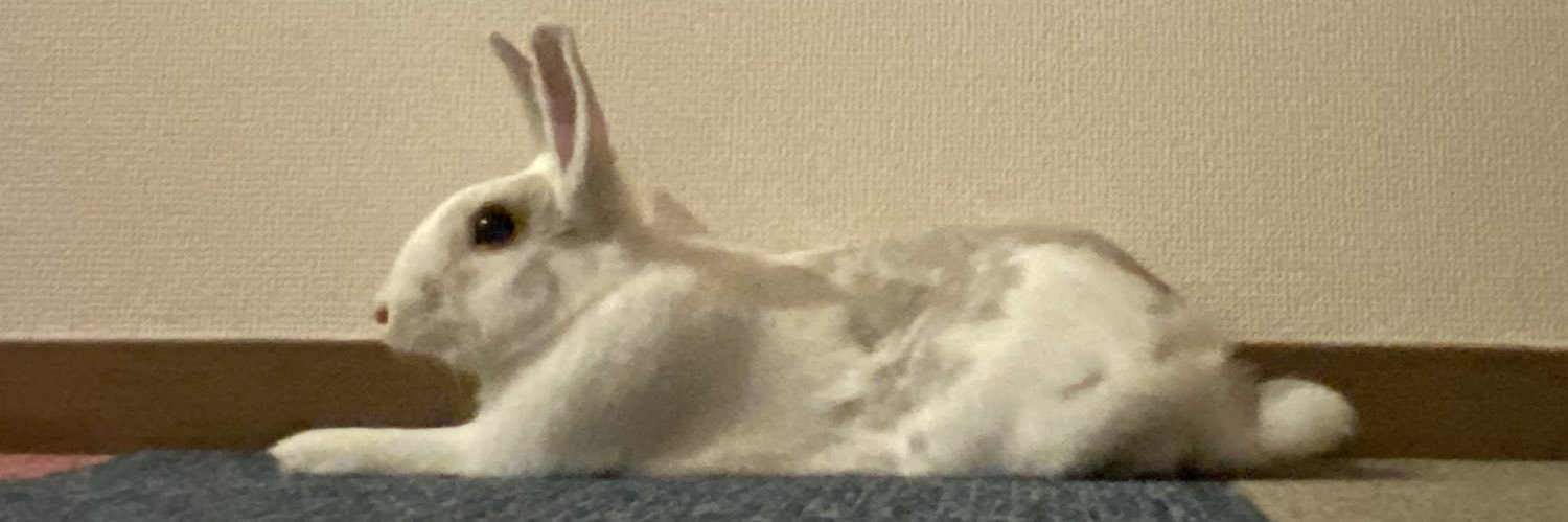 chieritopponica's profile banner image