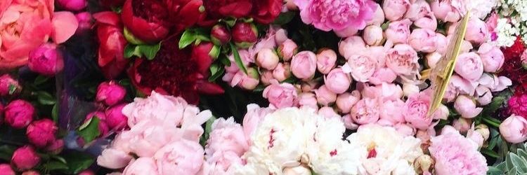 ShameezThomas's profile banner image