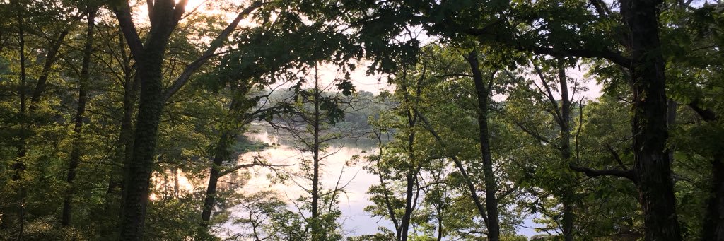 Avery is the fuck outta here banner