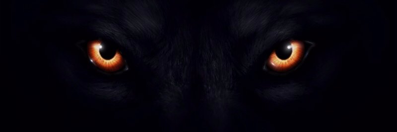 Weiss Theater banner