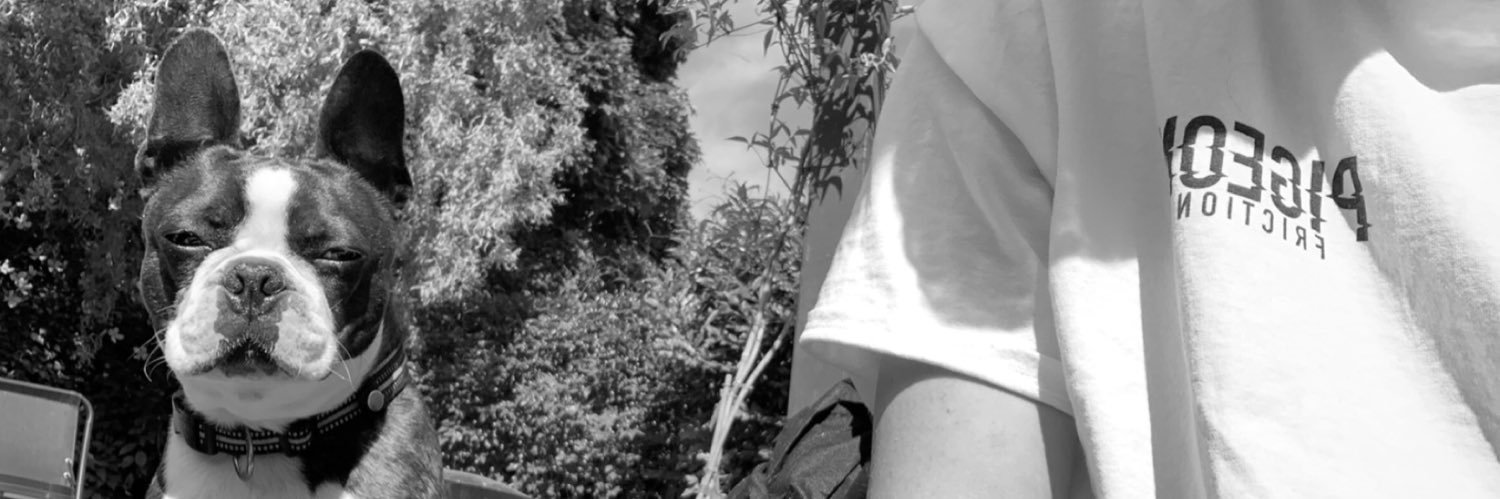 Mister__Pigeon's profile banner image