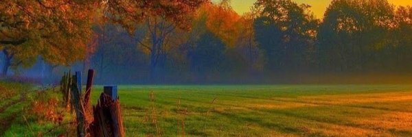 apple8162nut Profile Banner