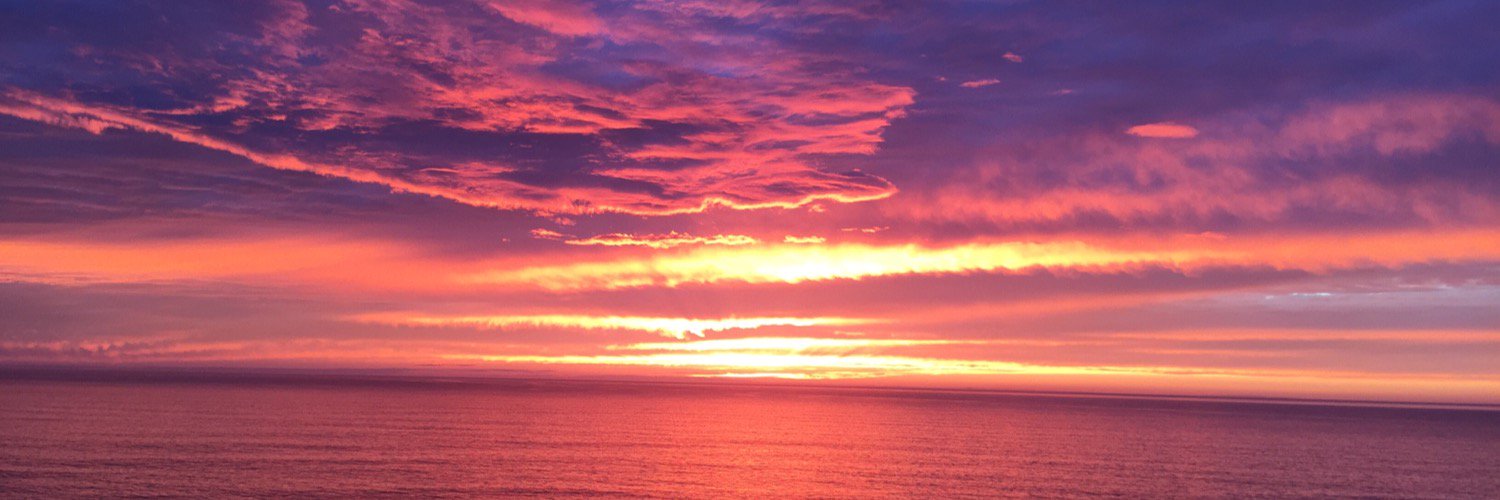 Ginger Conejero Saab banner