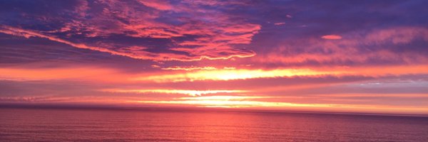 gingerconejero Profile Banner