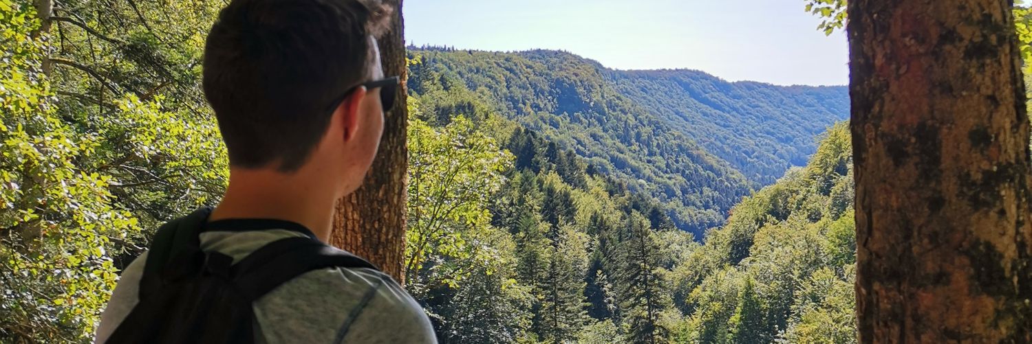 NBoe25's profile banner image
