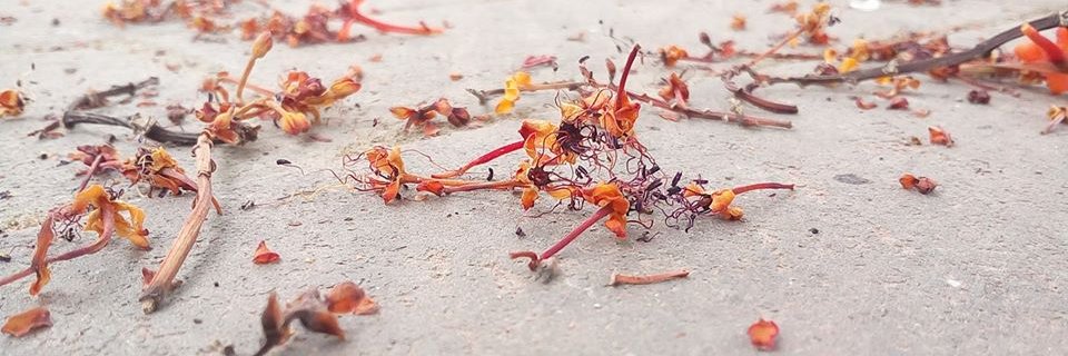 thisiseamin's profile banner image