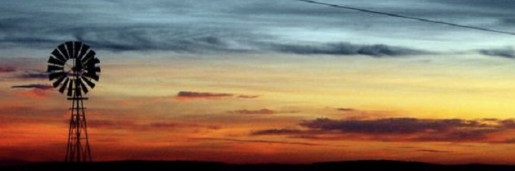 Ava banner
