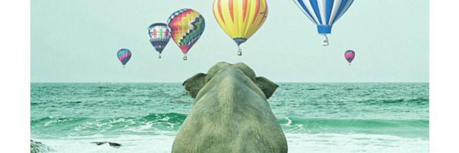 vardarelif_'s profile banner image