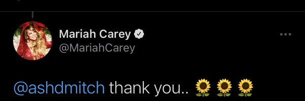 ashdmitch Profile Banner