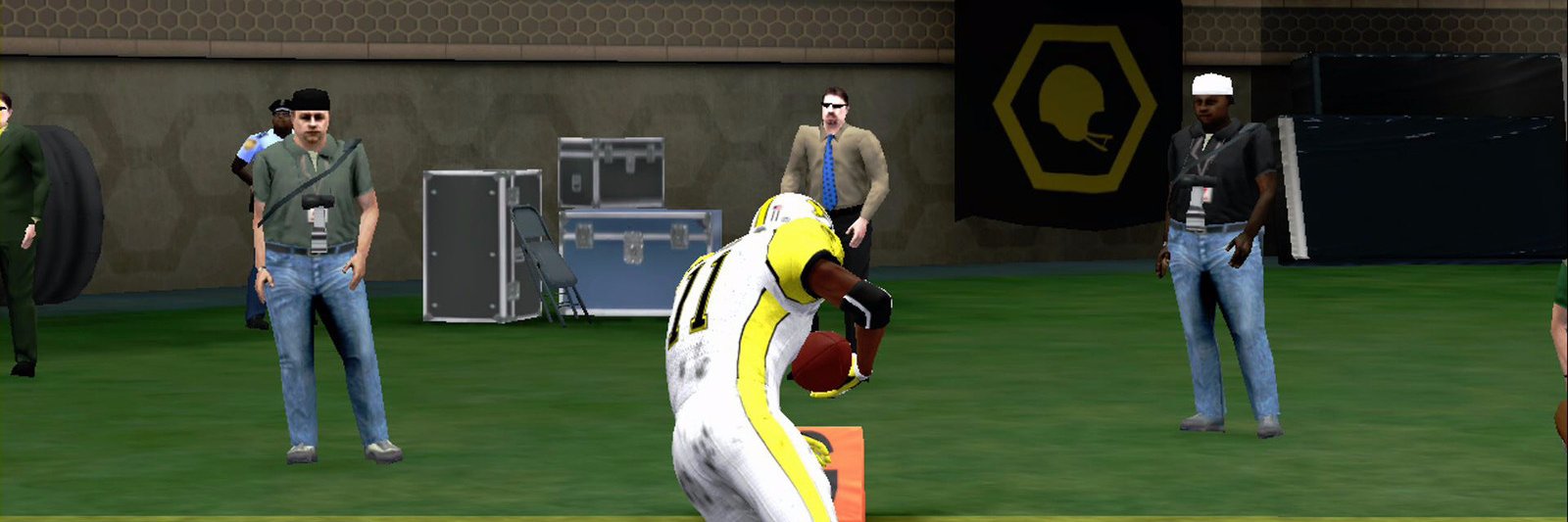 Sioux Falls Sparrows banner