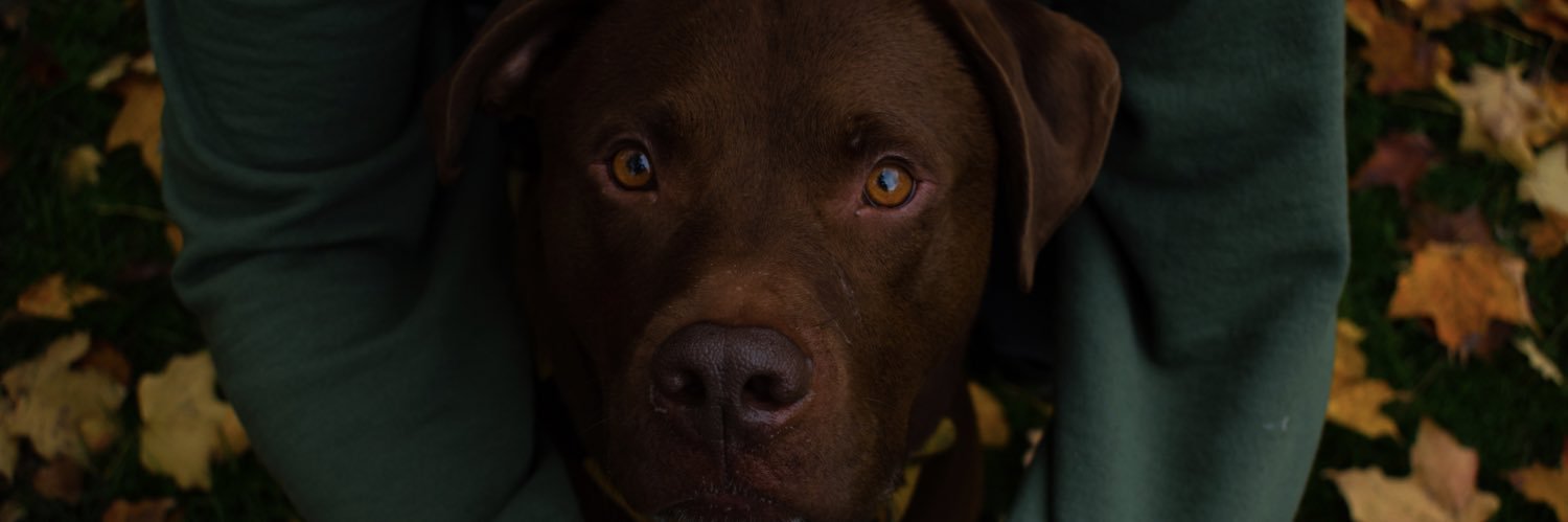 annaacocco's profile banner image