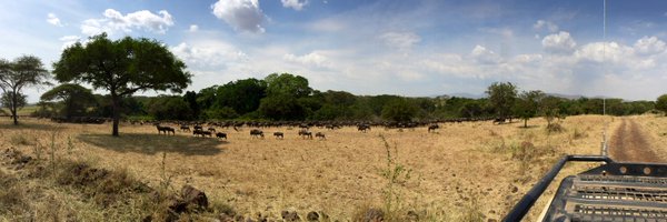 jake_aronson Profile Banner