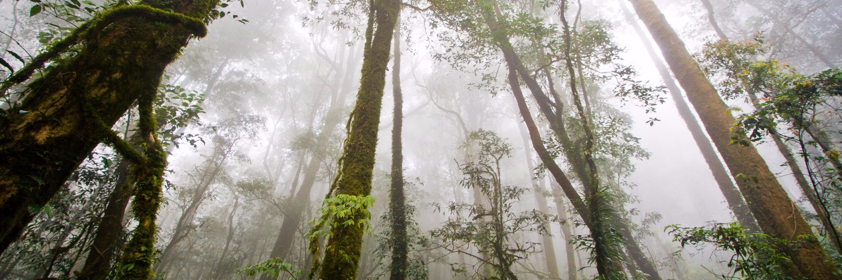 NW Nature Lover's banner