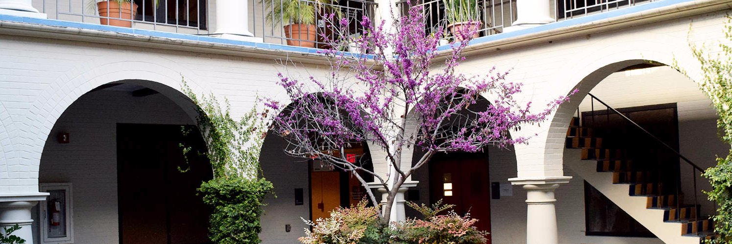 TXST Phi Alpha Theta banner