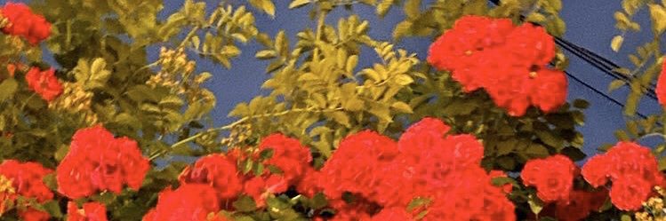 slmpx's profile banner image