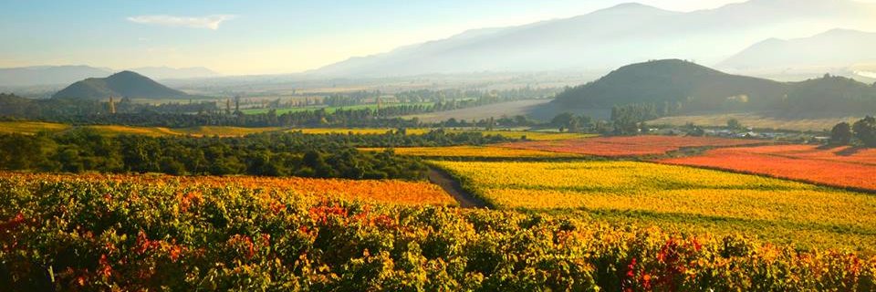 Kysela Père et Fils banner