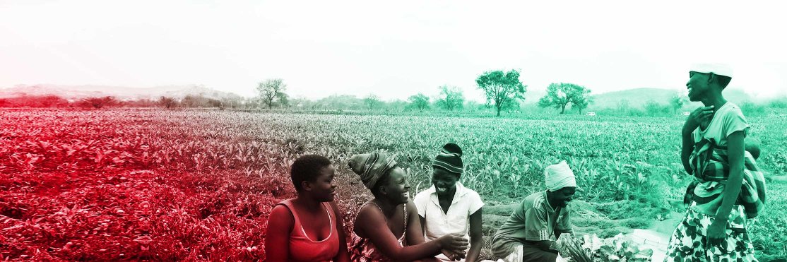 SDGsZimbabwe's profile banner image