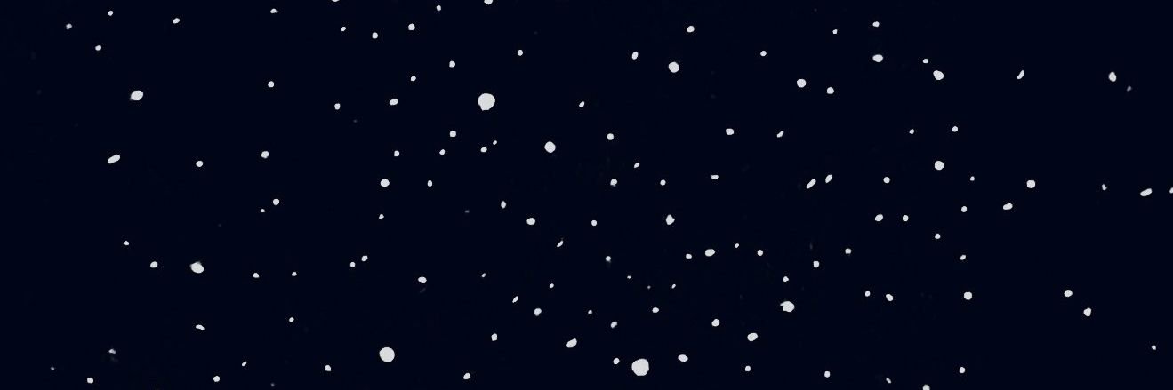 Miimiilaa's profile banner image