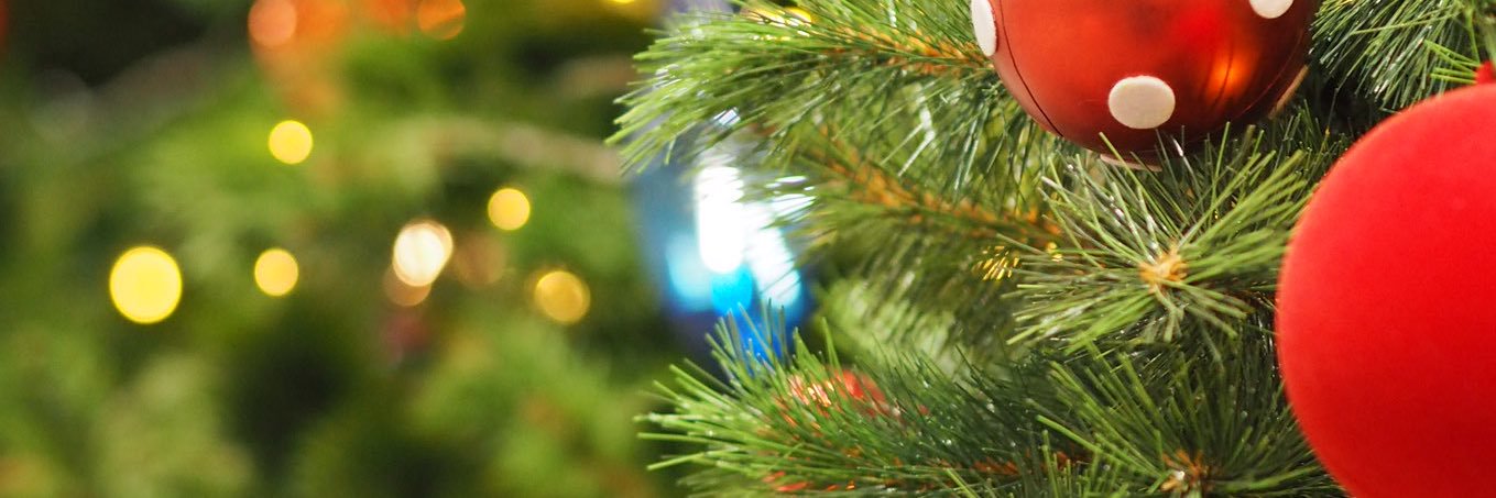 gr_tinkerbell's profile banner image